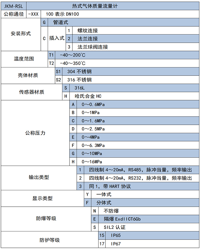 DN125熱式氣體質量流量計選項表